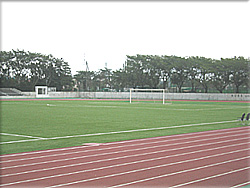 日 大 藤沢 高校 サッカー